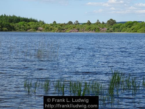 Lough Arrow